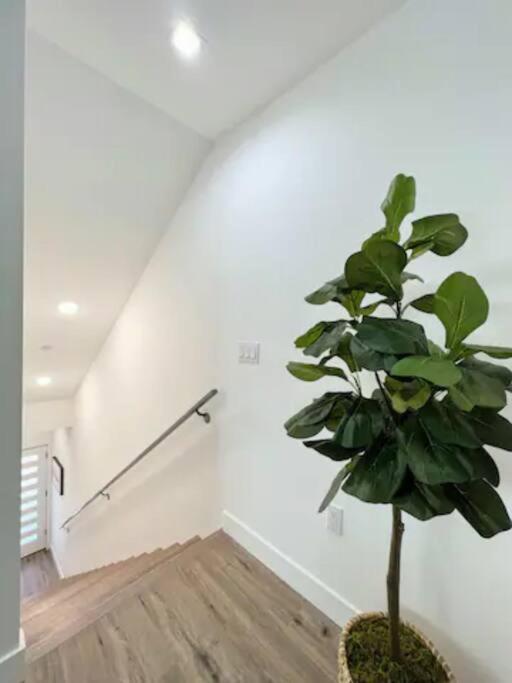4Br Townhouse In Koreatown 洛杉矶 外观 照片
